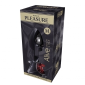 Серебристая анальная втулка Mini Metal Butt Plug Size M с красным кристаллом - Adrien Lastic в Томске Серебристая анальная втулка Mini Metal Butt Plug Size M с красным кристаллом - Adrien Lastic