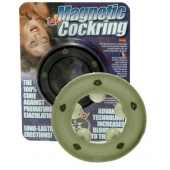 Эрекционное кольцо с магнитиками - Seven Creations - в Томске купить с доставкой