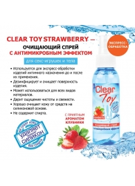 Очищающий спрей для игрушек CLEAR TOY Strawberry - 100 мл. - Биоритм - купить с доставкой в Томске