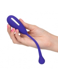 Фиолетовый шарик с электростимуляцией и вибрацией Intimate E-Stimulator Remote Kegel Exerciser - California Exotic Novelties - купить с доставкой в Томске