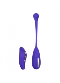 Фиолетовый шарик с электростимуляцией и вибрацией Intimate E-Stimulator Remote Kegel Exerciser - California Exotic Novelties - купить с доставкой в Томске