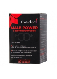 Капсулы для мужчин Erotichard male power с пантогематогеном - 20 капсул (0,370 гр.) - Erotic Hard - купить с доставкой в Томске