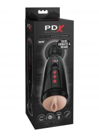 Мастурбатор-вагина с вибрацией Dirty Talk Starter Stroker - Pipedream - в Томске купить с доставкой