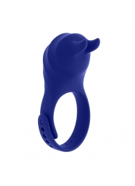 Синее эрекционное виброкольцо с клиторальной подушечкой и пультом ДУ Adjustable Fun Ring - Zero Tolerance - в Томске купить с доставкой