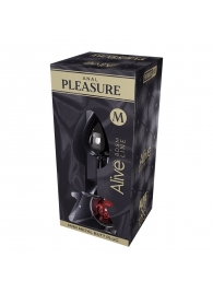 Серебристая анальная втулка Mini Metal Butt Plug Size M с красным кристаллом - Adrien Lastic в Томске Серебристая анальная втулка Mini Metal Butt Plug Size M с красным кристаллом - Adrien Lastic