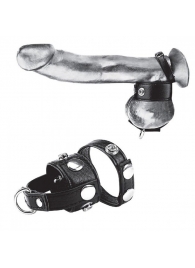 Утяжка для мошонки и пениса Cock Ring With 1  Ball Stretcher And Optional Weight Ring - BlueLine - купить с доставкой в Томске