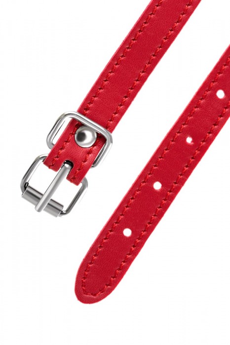 Красная маска Anonymo из искусственной кожи - ToyFa - купить с доставкой в Томске