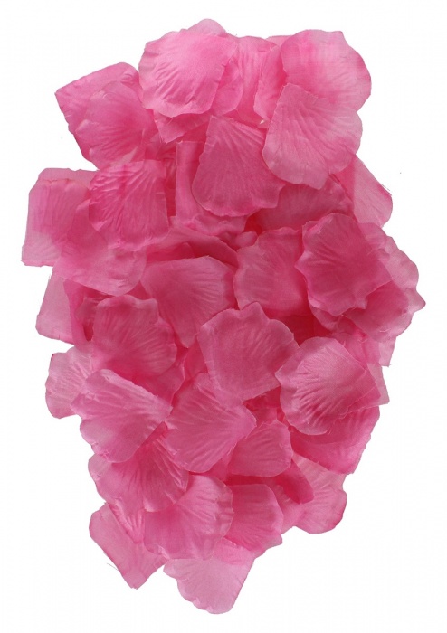 Эротический набор FANTASTIC PURPLE SEX TOY KIT - Toy Joy - купить с доставкой в Томске