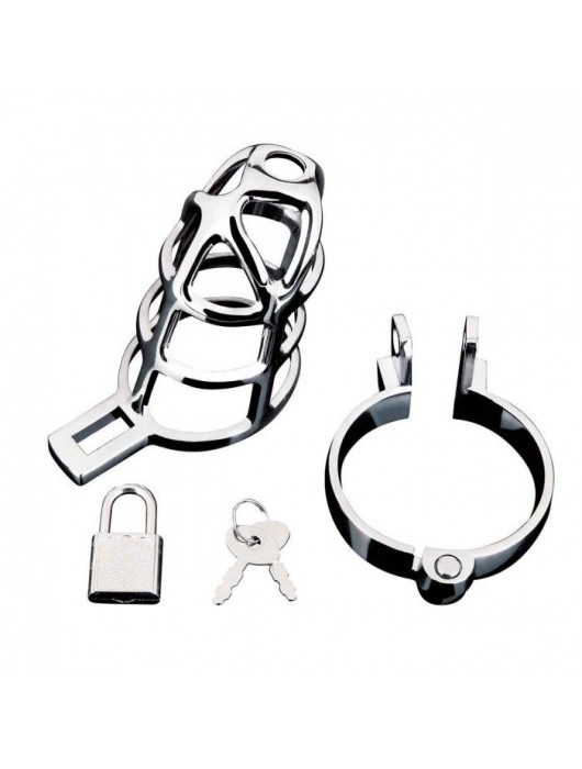 Серебристая металлическая клетка для члена с замком Enslave Cock Cage - BlueLine - купить с доставкой в Томске