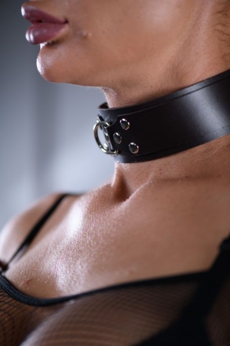 Коричневый ошейник Sex Game с поводком - БДСМ Арсенал - купить с доставкой в Томске