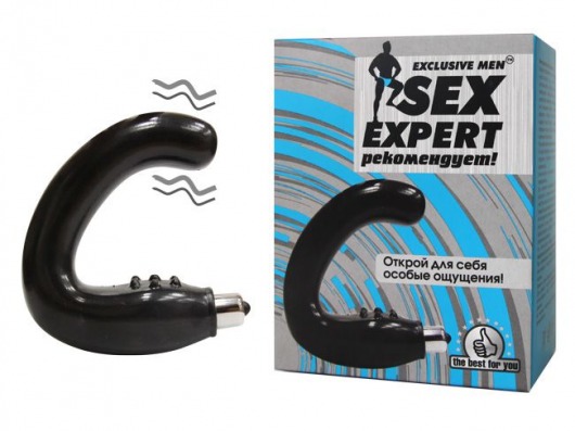 Чёрный массажёр простаты серии Sex Expert - Sex Expert - в Томске купить с доставкой