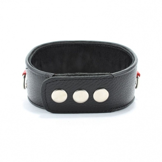 Кожаный ошейник с металлическими клепками - БДСМ Арсенал - купить с доставкой в Томске