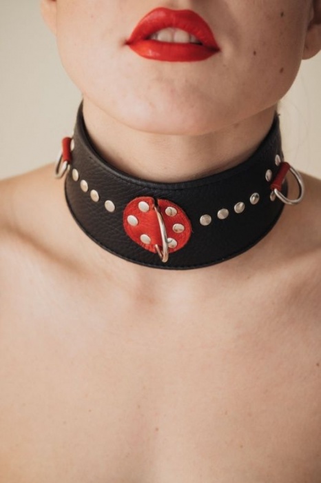 Кожаный ошейник с металлическими клепками - БДСМ Арсенал - купить с доставкой в Томске