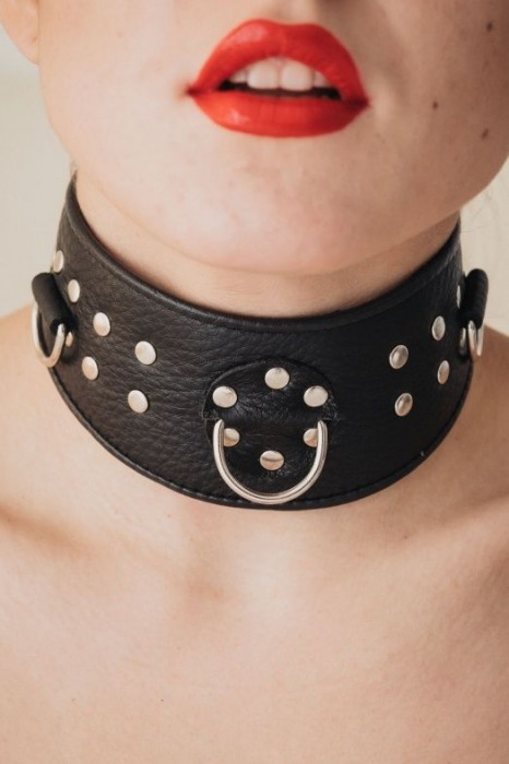 Кожаный ошейник для эротических игр - БДСМ Арсенал - купить с доставкой в Томске