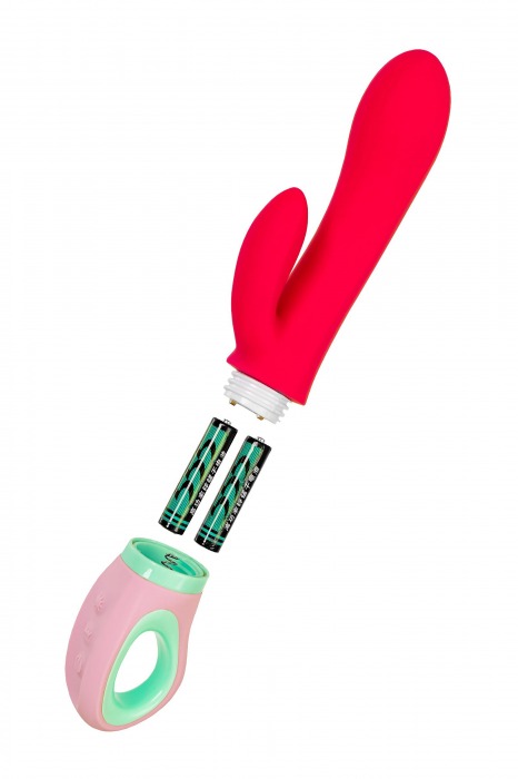 Красный вибратор с клиторальным отростком Petunia - 19 см. - ToyFa