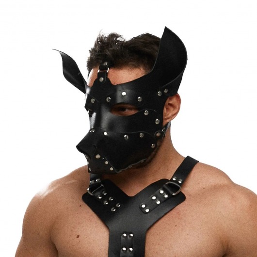 Черная кожаная маска «Собака» - Crazy Handmade - купить с доставкой в Томске Черная кожаная маска «Собака» - Crazy Handmade - купить с доставкой в Томске