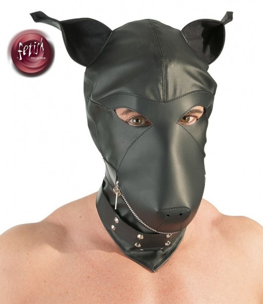 Шлем-маска Dog Mask в виде морды собаки - Orion - купить с доставкой в Томске