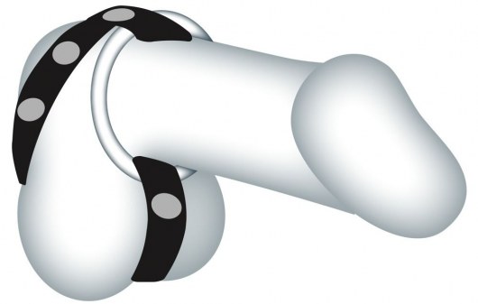 Подхват для мошонки с 3 съемными эрекционными кольцами Leder-Riemen - Orion - в Томске купить с доставкой