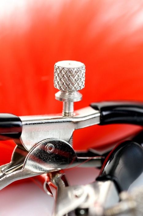 Зажимы для сосков с красным пухом Theatre - ToyFa - купить с доставкой в Томске