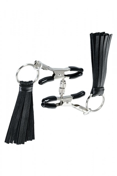 Черно-серебристые зажимы для сосков Theatre с кисточками - ToyFa - купить с доставкой в Томске