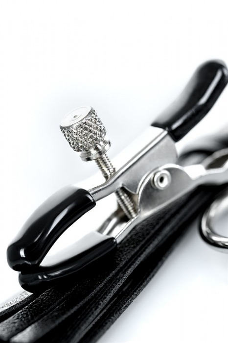 Черно-серебристые зажимы для сосков Theatre с кисточками - ToyFa - купить с доставкой в Томске