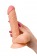Телесный фаллоимитатор Lorn - 20 см. - ToyFa купить с доставкой в интернет-магазине Orgasmix в Томске Телесный фаллоимитатор Lorn - 20 см. - ToyFa